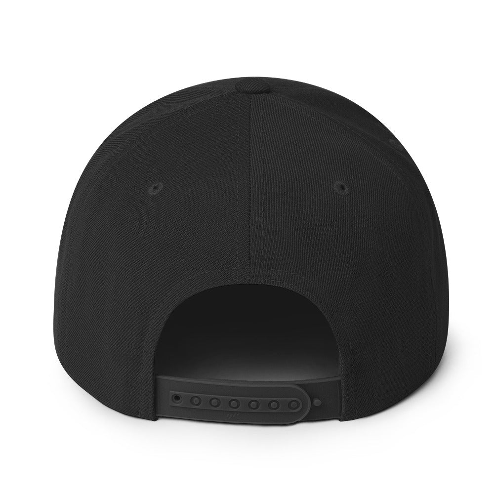 High Function Classic Snapback — view 2